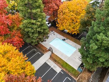 Aerial view of pool deck with autumn foliage